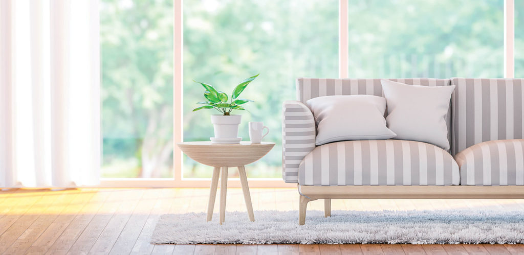 End table with planter next to sofa | Pink Shoe Cleaning Crew | House Cleaning Omaha