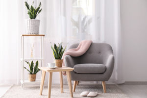 Plants that help improve air quality